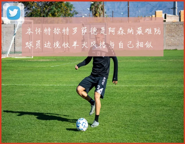 本怀特称特罗萨德是阿森纳最难防球员边境牧羊犬风格与自己相似